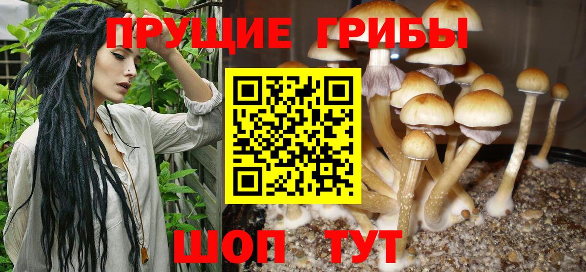 Томск  купить наркотик  Псилоцибиновые грибы Psilocybe  Вход с VPN  Галлюциногенные грибы Cubensis 